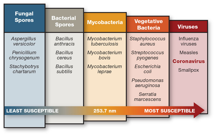 FIGURE 3. Microorganisms susceptible to germicidal UV-C.12